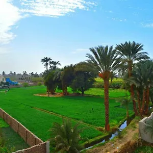 Farida , Louxor Égypte